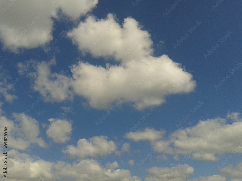 Obraz premium Cumulus cloudscape