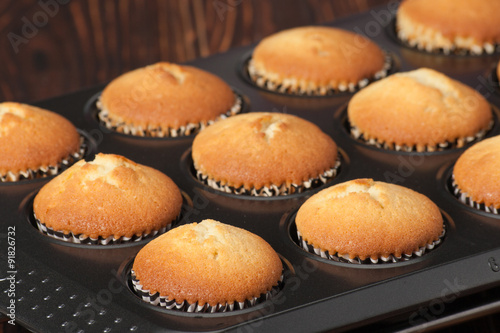 Plain Cupcakes In Baking Tray