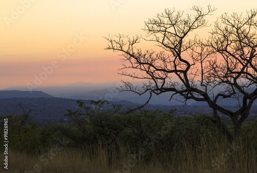 Sunset over the african bush