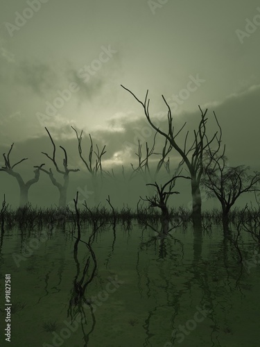 Fantasy illustration of a misty swamp with twisted trees standing in the water, 3d digitally rendered illustration photo