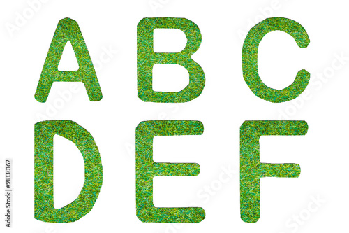 grass alphabet in isolated background abcdef set