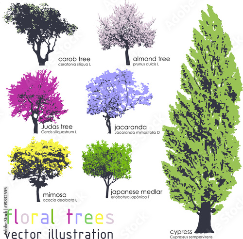 Vászonkép Set of floral trees silhouettes. Vector illustration