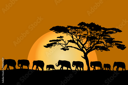 Herd of elephants © hibrida
