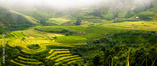 Rice fields on terraced of Mu Cang Chai, YenBai, Vietnam. Rice fields prepare the harvest at Northwest Vietnam.
