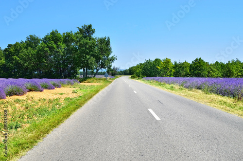 Road in Provence, France © Oleg Znamenskiy
