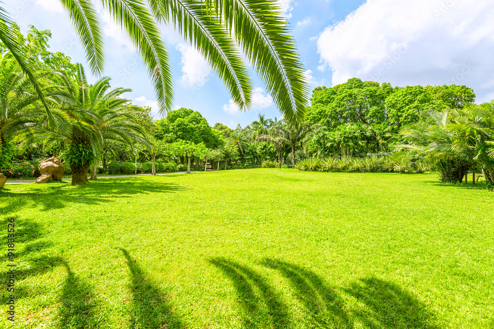 Obraz premium green park under sunshine