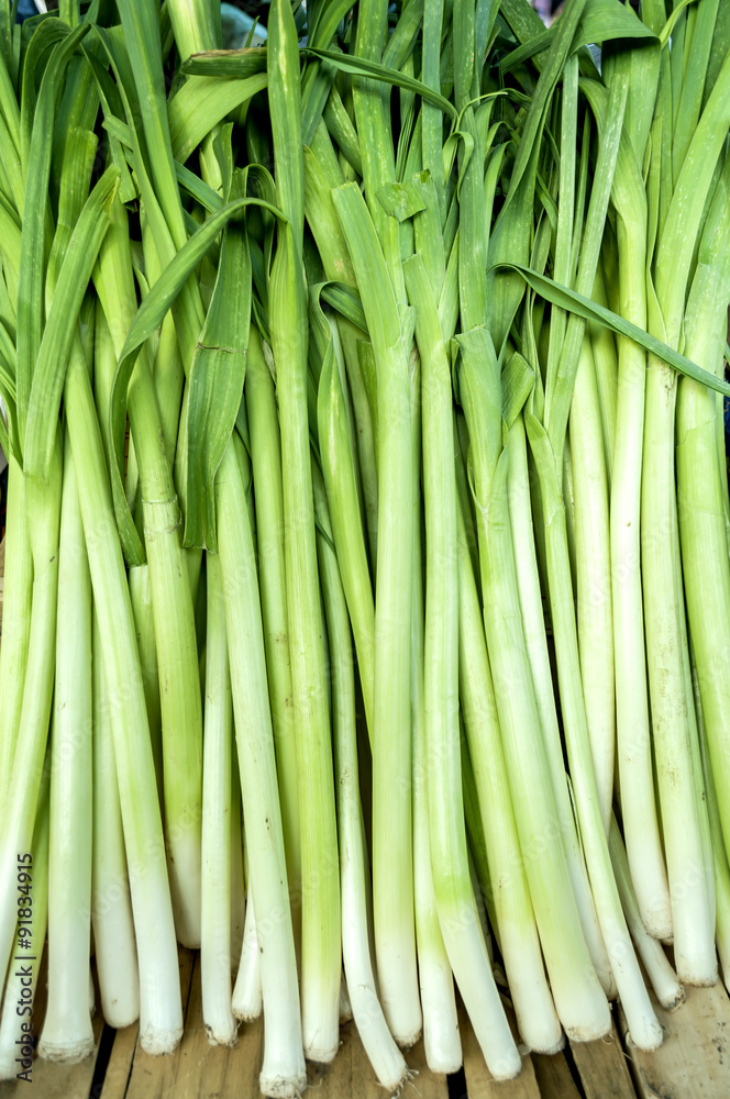 Obraz premium Fresh healthy bio leek on farmer agricultural market