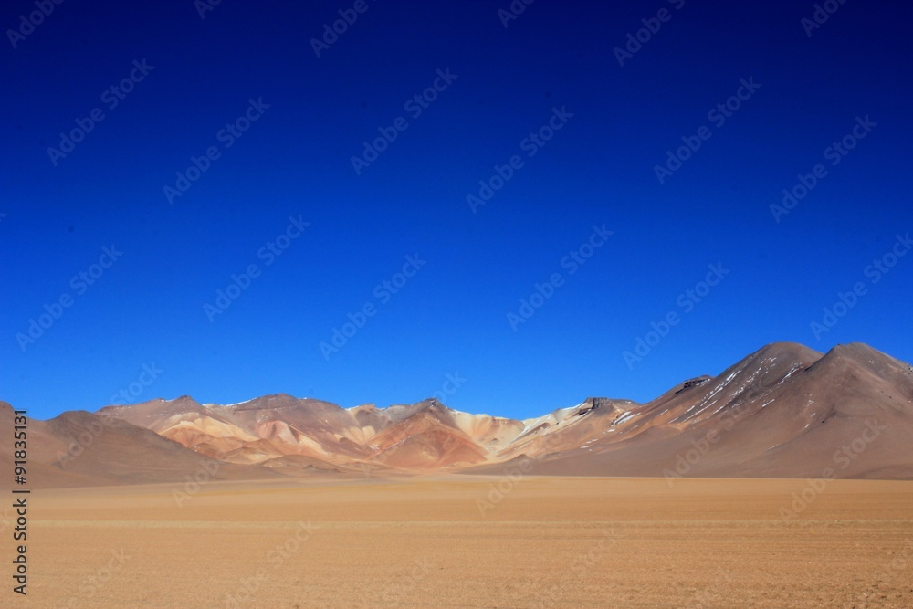 Bolvian desert