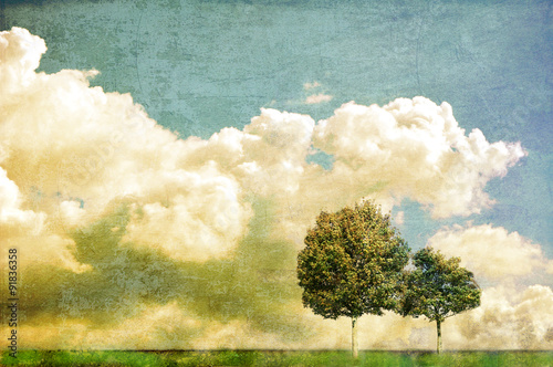 Two trees against cloudy skyline © imagosrb