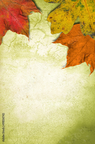 Grunge wall background and colorful autumnal  leaves