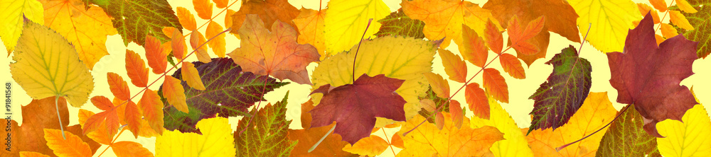 goldener Herbst, fallende Blätter goldener Herbst, fallende Blätter