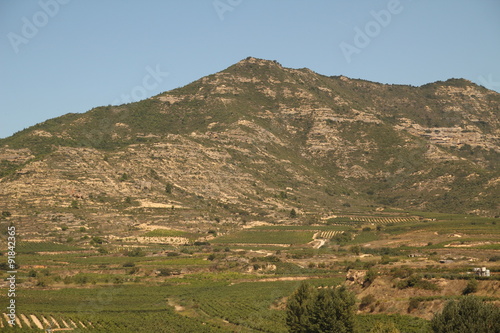 La Rioja photo