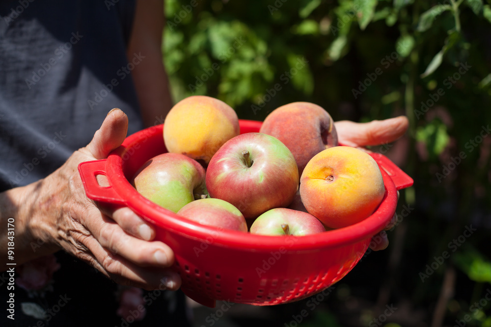 apples and peaches in a bowl 
