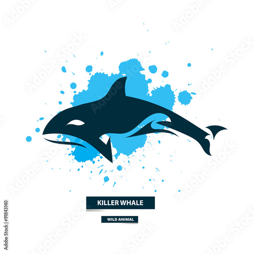 Artistic killer whale icon on the colorful blots background. Stylized graphic illustration. Vector wild animal.