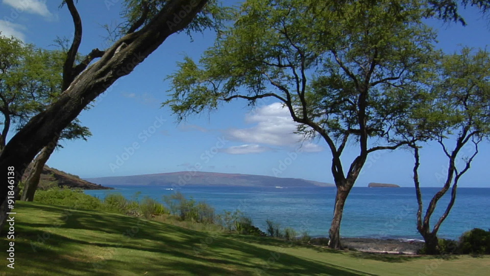 A beautiful tropical vista reveals trees and islands in Hawaii. A beautiful tropical vista reveals trees and islands in Hawaii.