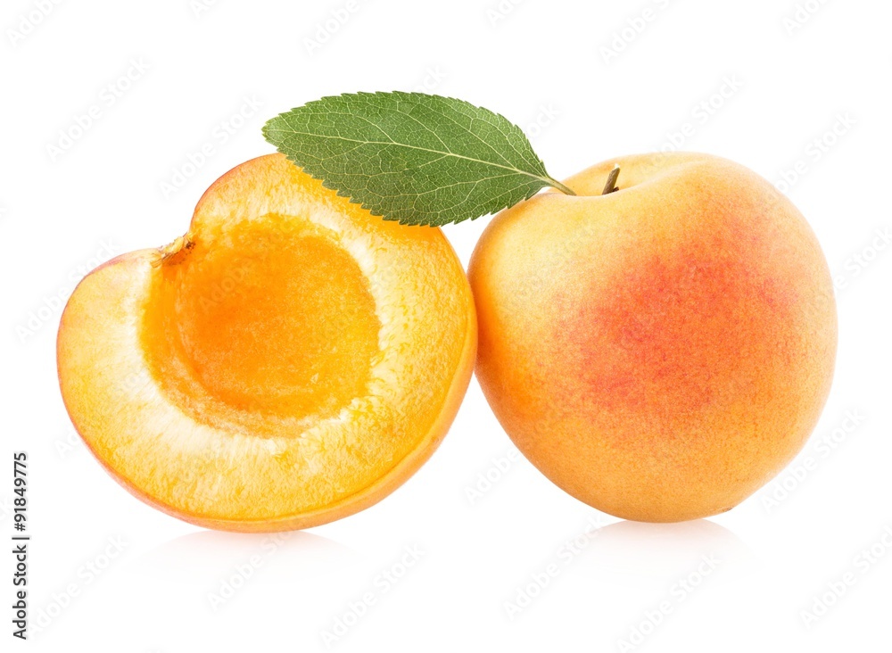 Apricot Apricot