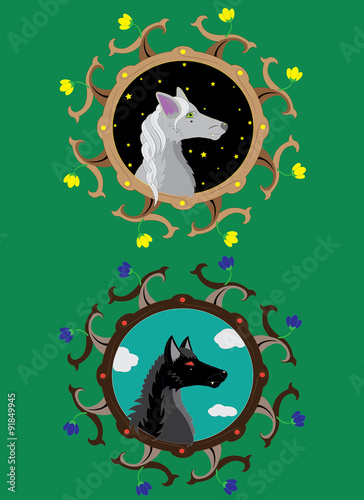 Gray she-wolf and Black wolf