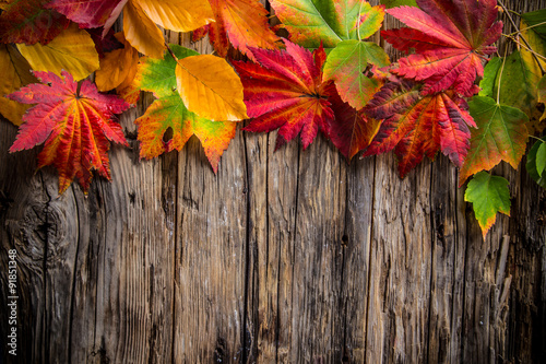 Colorful autumnal backgroun...