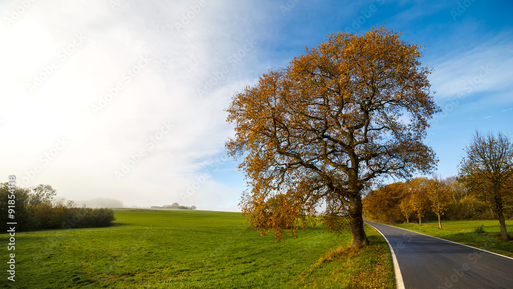 Fototapeta premium Autumn