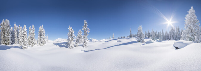 Winterpanorama - Verschneite Winterlandschaft