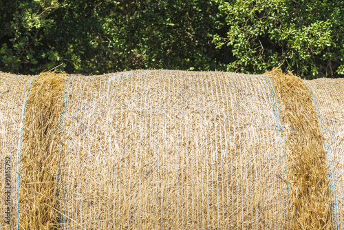 Closeup of a bale of straw