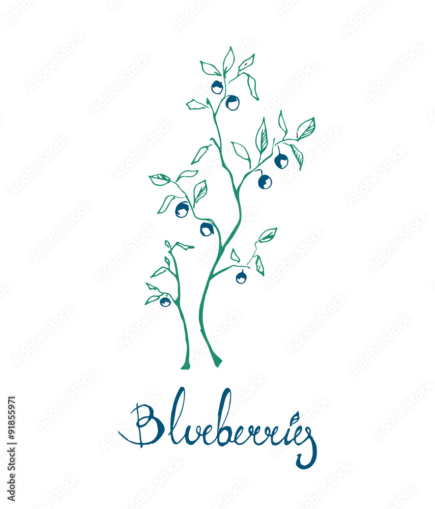 Blue berries Blue berries