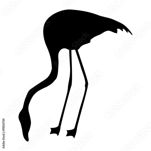 flamingo silhouette on a white background