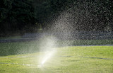 water spray on green field