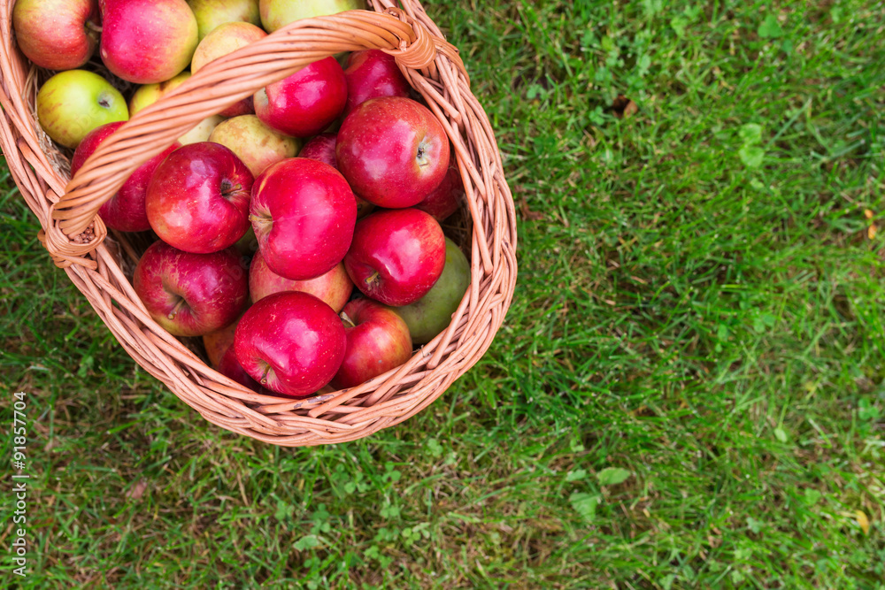 Basket full of apples Basket full of apples