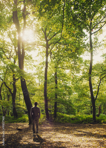 A man wearing a checked shirt standing in the forest looking up as the sun sets in the sky
