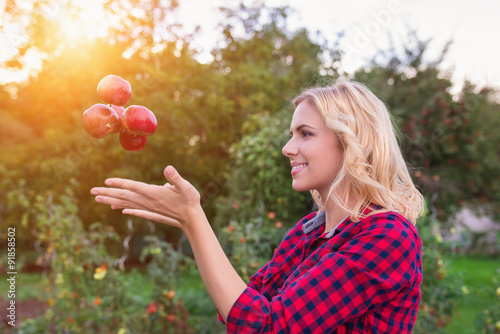 Beautiful woman harvesting apples
