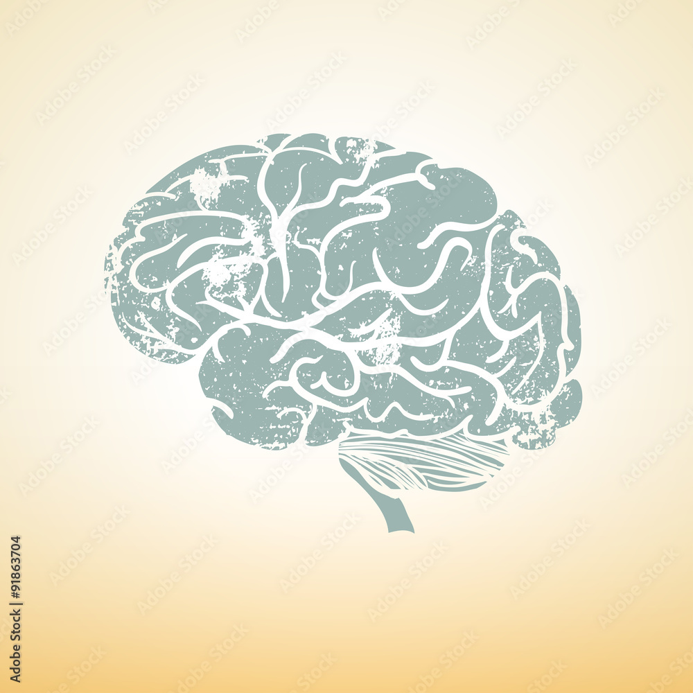Brain in meditation