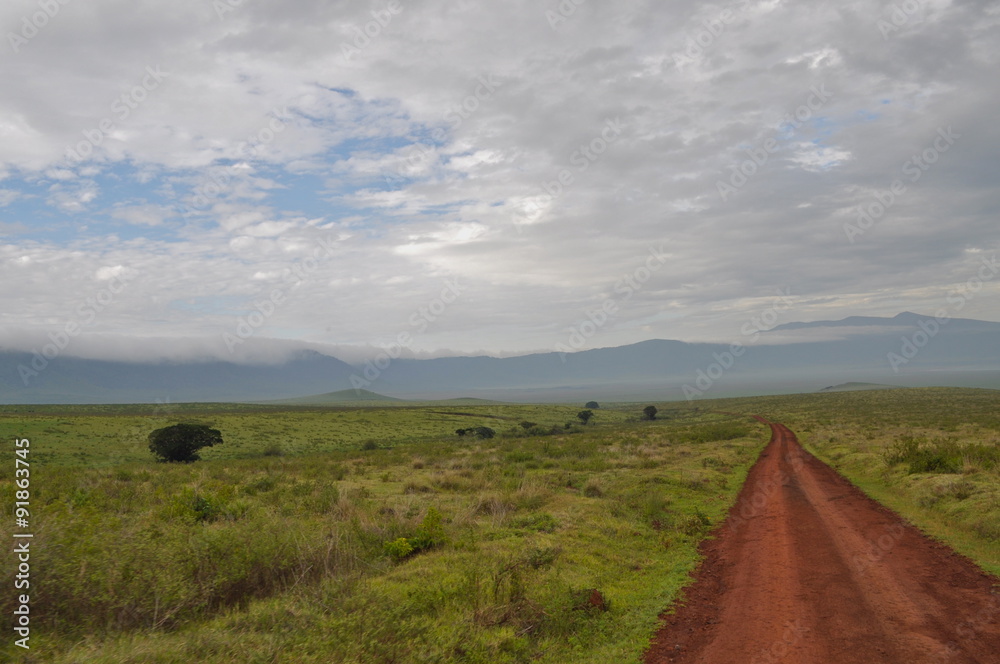 Route de terre, Tanzanie, savane