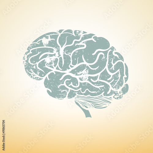 Brain in meditation