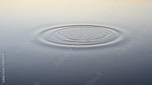 Stone falls and plops into water and produces rings on surface