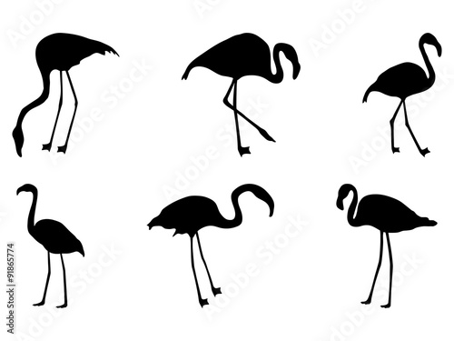 set of silhouettes of flamingos on a white background