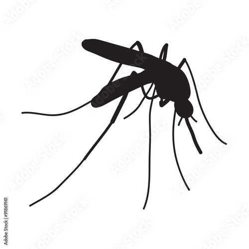 mosquito. a realistic mosquito.