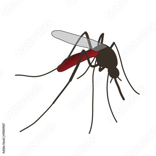 mosquito. a realistic mosquito.