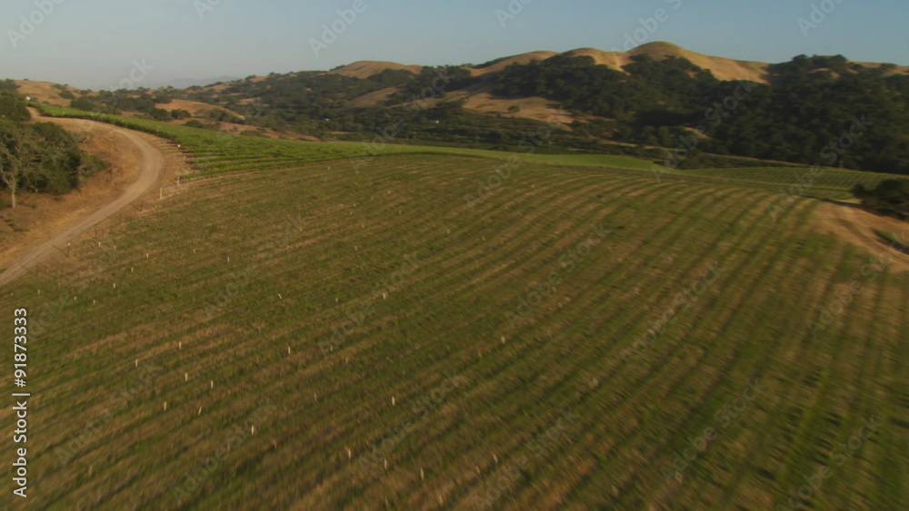 Helicopter aerial of a vineyard in the Santa Maria Valley, California. Helicopter aerial of a vineyard in the Santa Maria Valley, California.