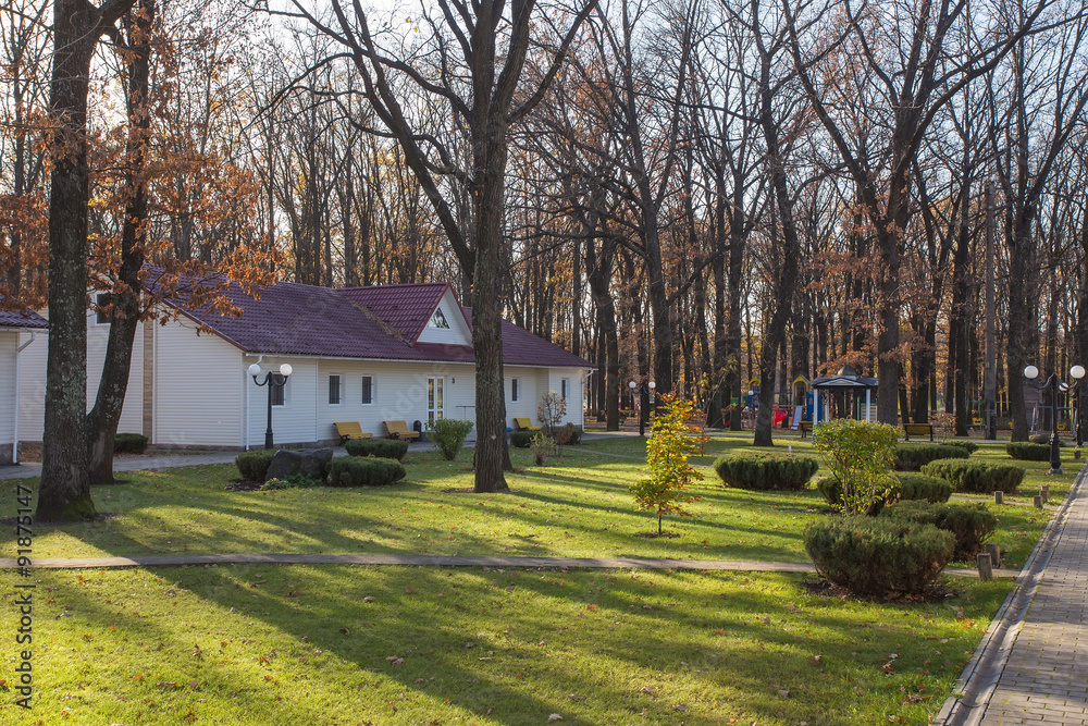 Obraz premium Wooden cottagesin the pine forest
