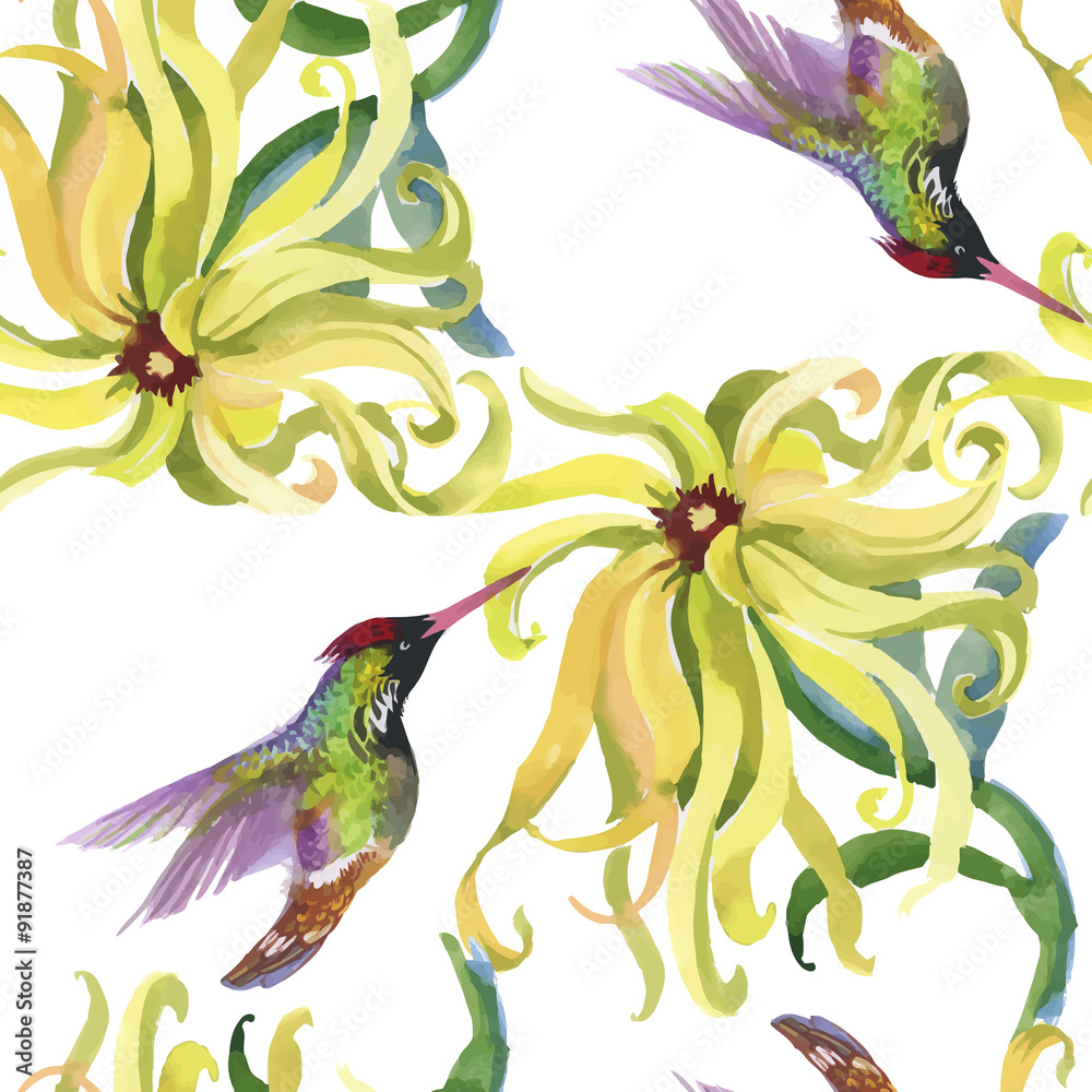 Obraz premium Tropical floral watercolor seamless pattern with colibris and