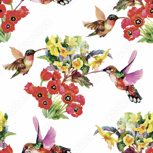 Tropical floral watercolor seamless pattern with colibris and