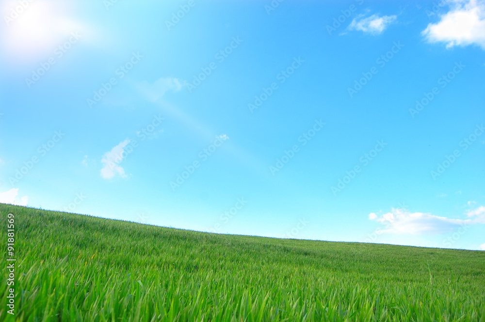 Obraz premium Bellissima collina verde con il sole che splende nel cielo azzurro 