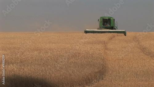 Wheat harvester (combine) moving toward camera in Kansas wheat field 