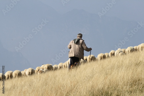 Italy, garda lake, monte baldo-A shepherd with sheep photo