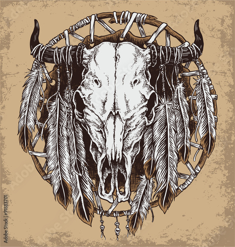 Hand drawn cow skull and feathers illustration.
