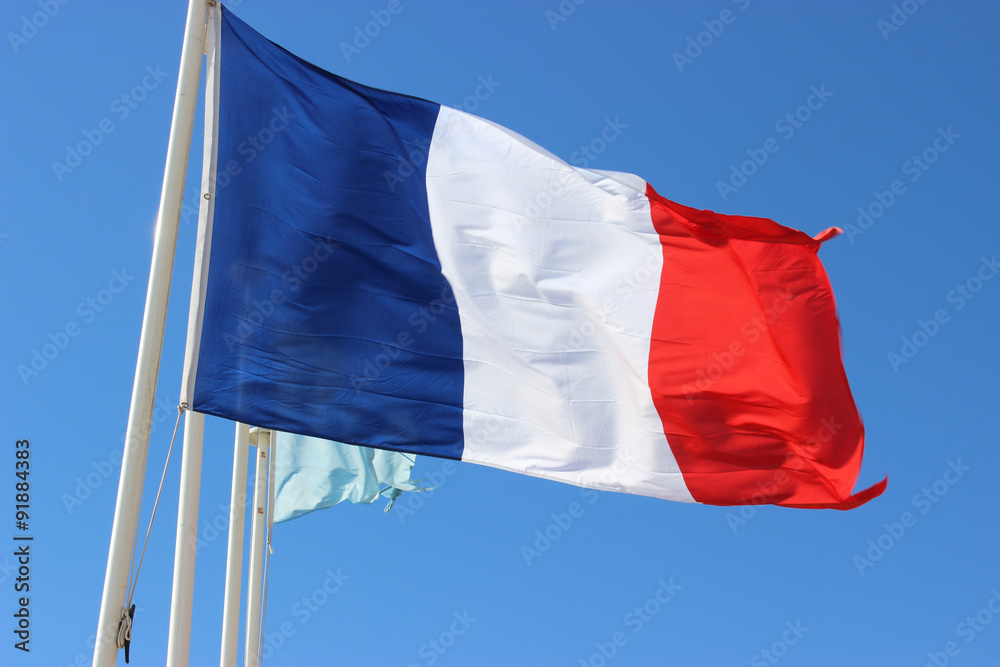 Obraz premium French Flag