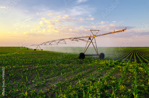 Agricultural irrigation system watering corn field on sunny summ photo