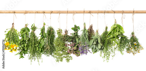 Herbs hanging isolated on white. basil, rosemary, thyme, dandeli