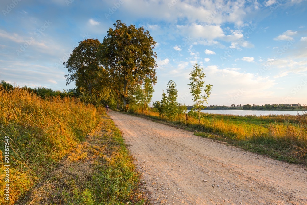 Rural road with trees at sunny autumnal afternoon